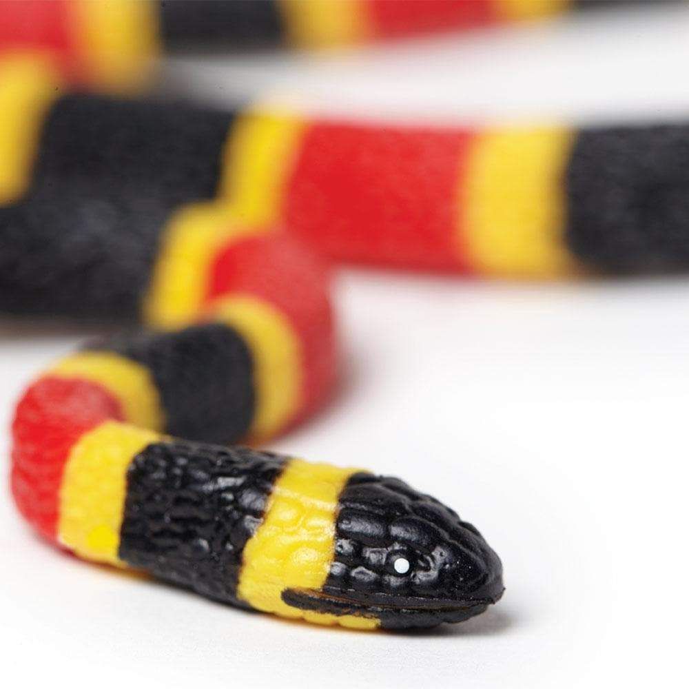 Coral Snake Baby Toy