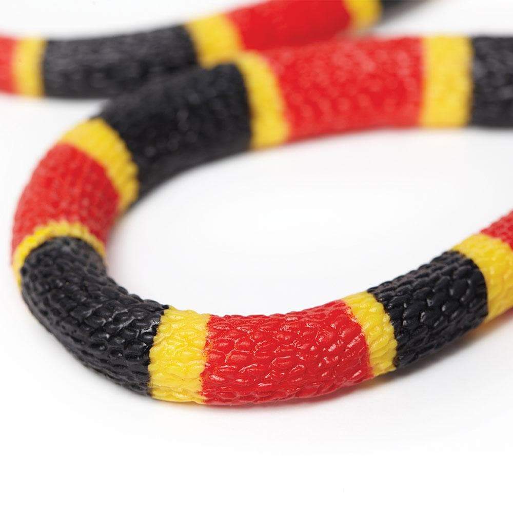 Coral Snake Baby Toy