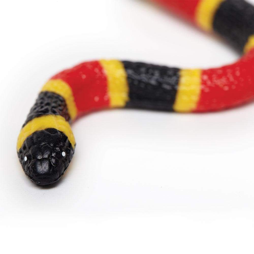 Coral Snake Baby Toy